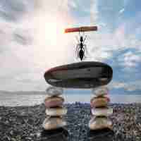 js脚‌本﻿在‍哪﻿运​行‍